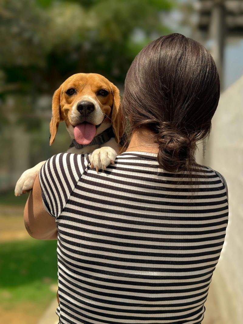 Paws & Harmony Pet Care 14