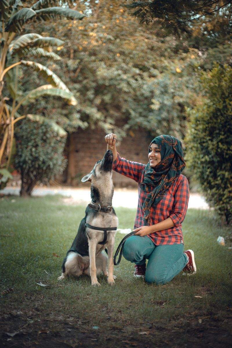 Puppy and senior pet care